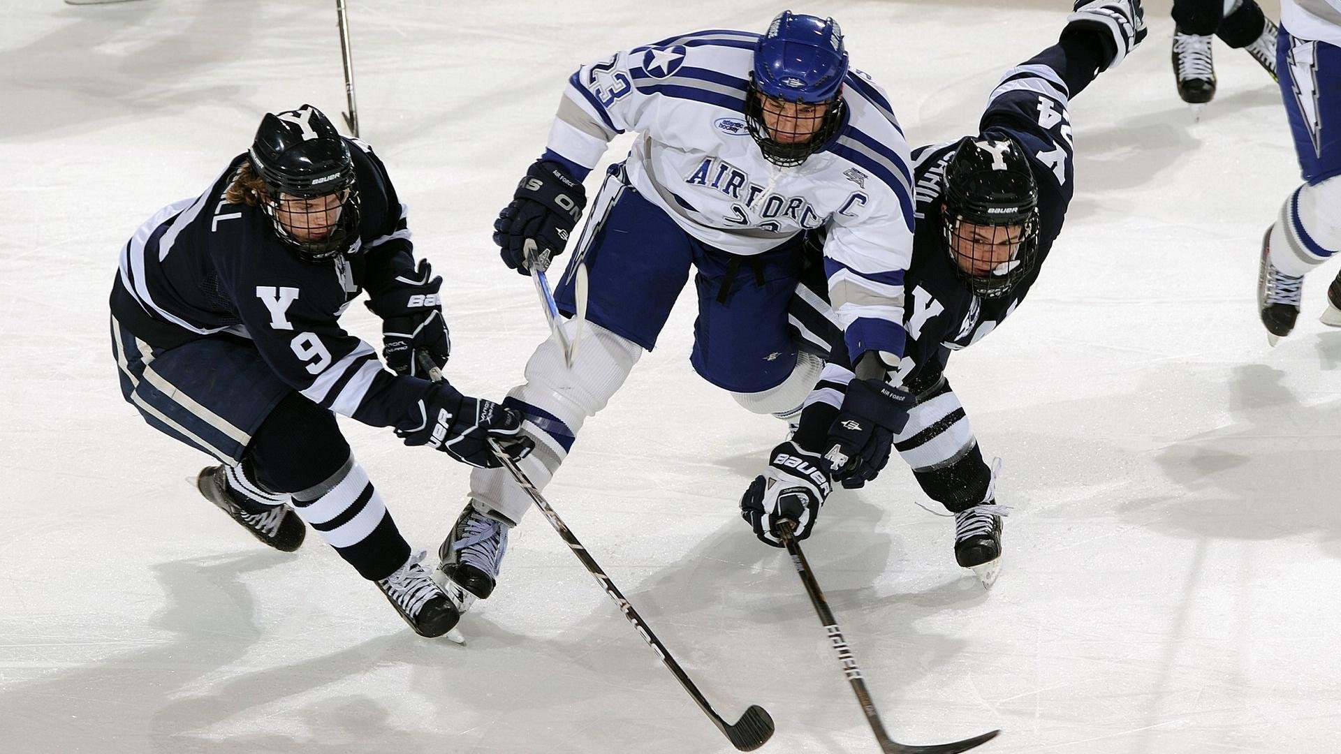 AYX GAME-_极地探险骑行：在冰雪世界中追逐自由_，极地探险介绍